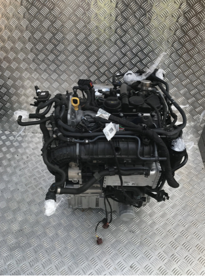 DFY VW Golf VIII 8 1.5 TSI