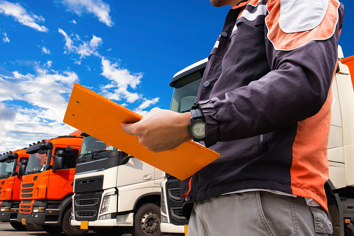 Incongruous feline contendre gratuitous